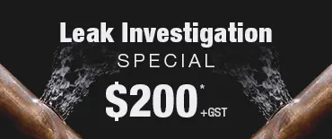 Leak Investigation Discount Eden Terrace